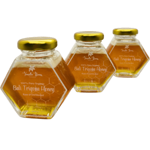 Home 21 Bali Trigona Honey