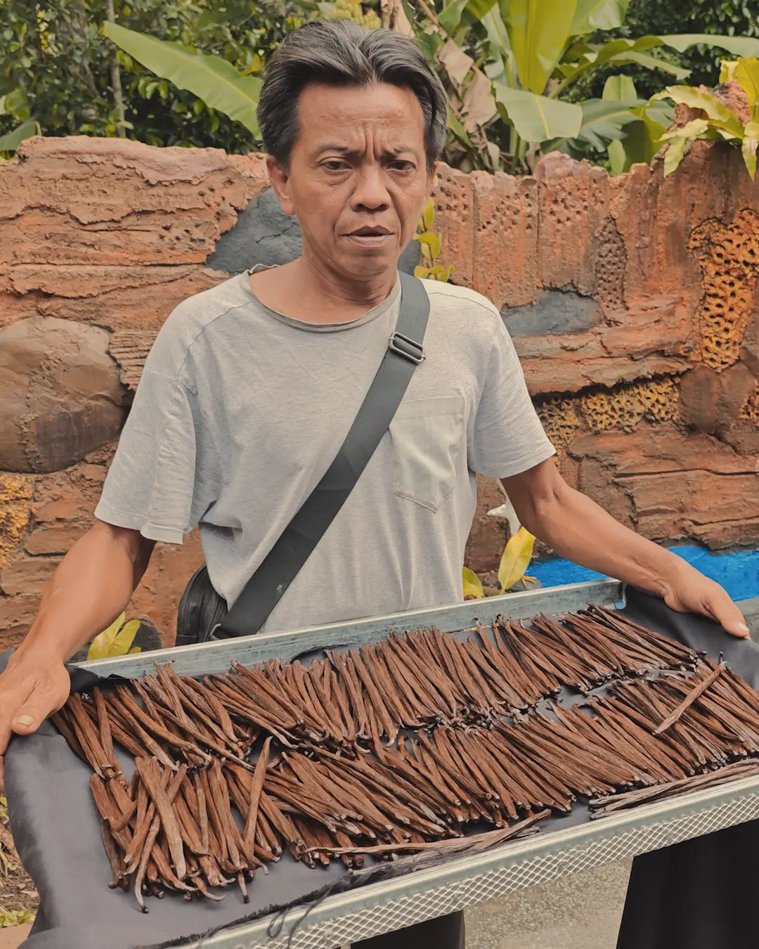 Hand-Pollinated Vanilla: Inside Nalua's Bali Farm 2 Vanilla