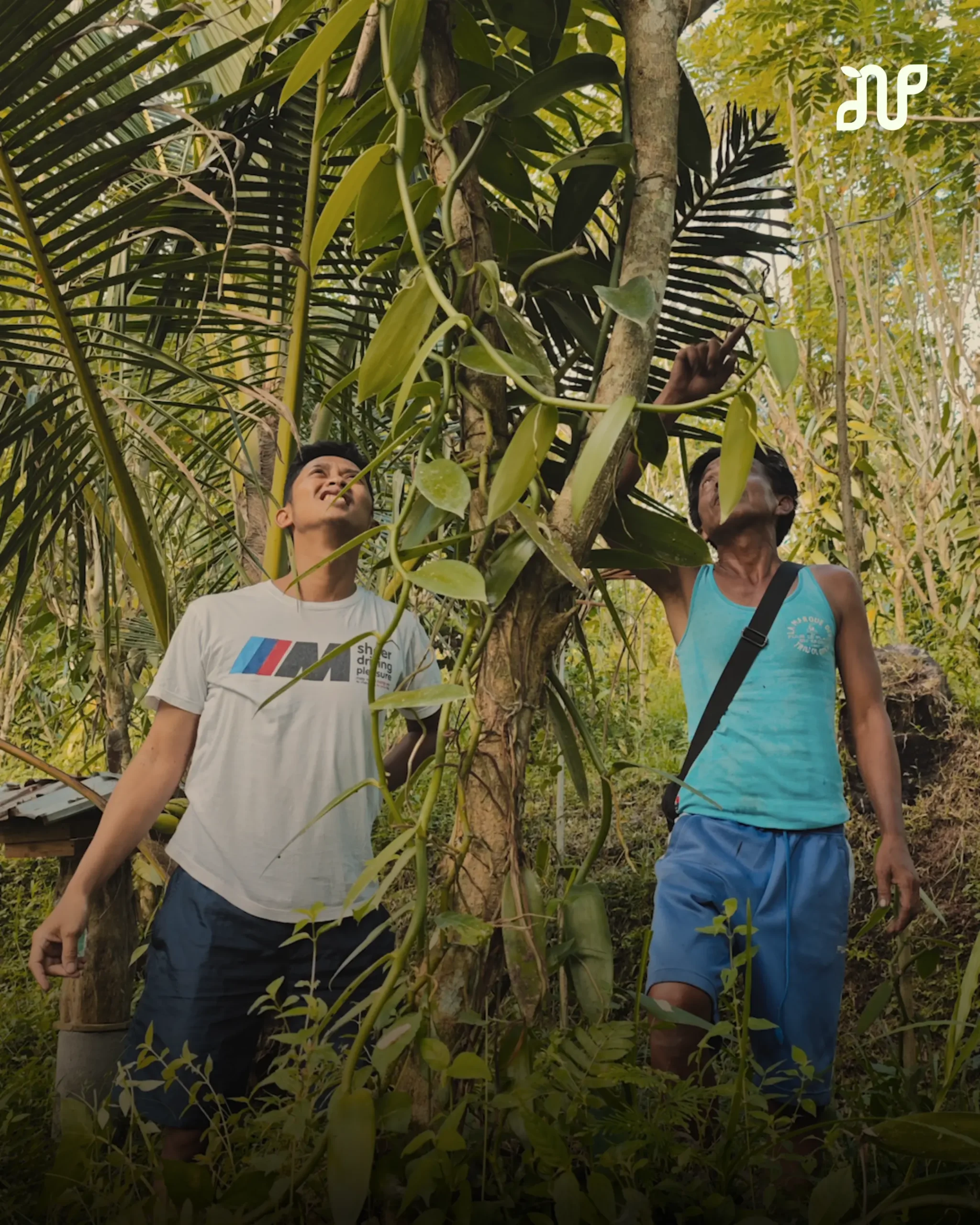 Nalua Vanilla Bali founders Dio and Citra at their Bali vanilla farm