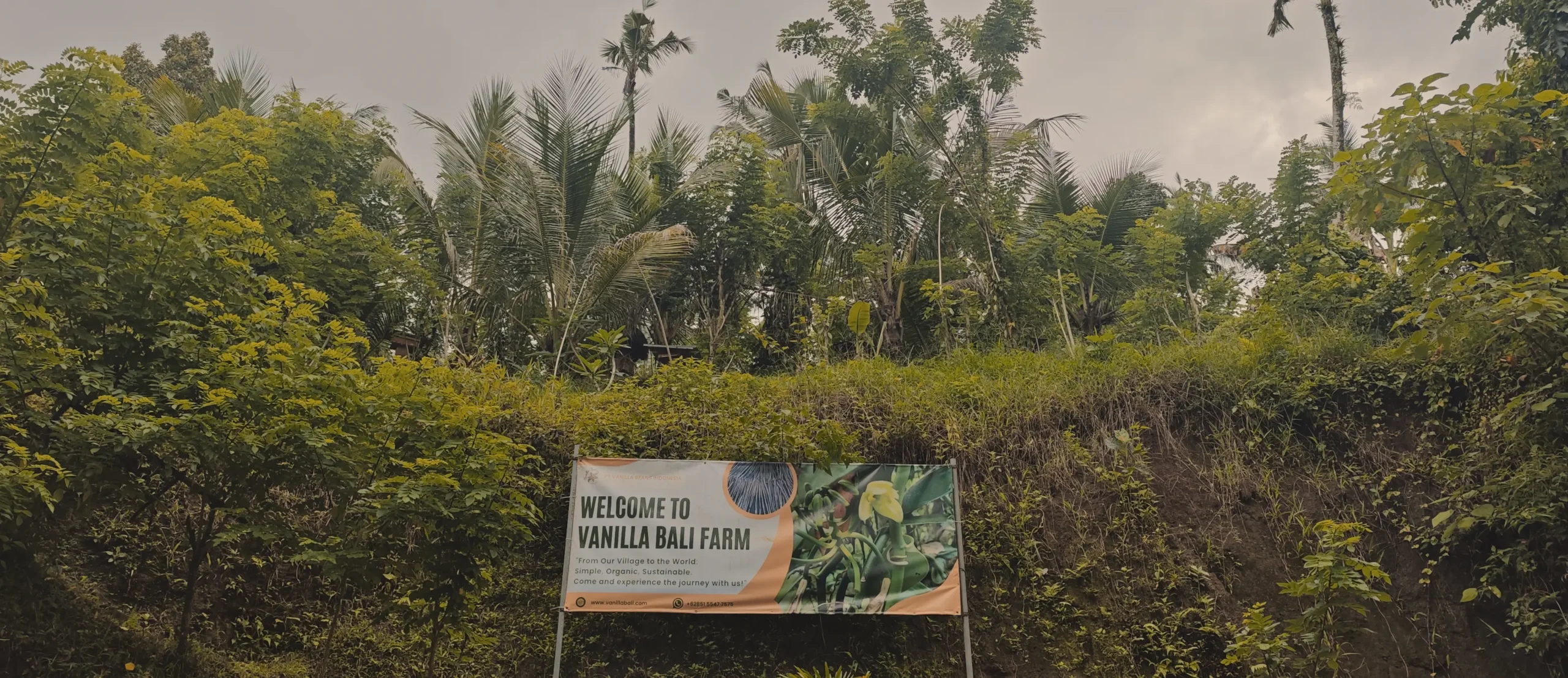 VanillaBali