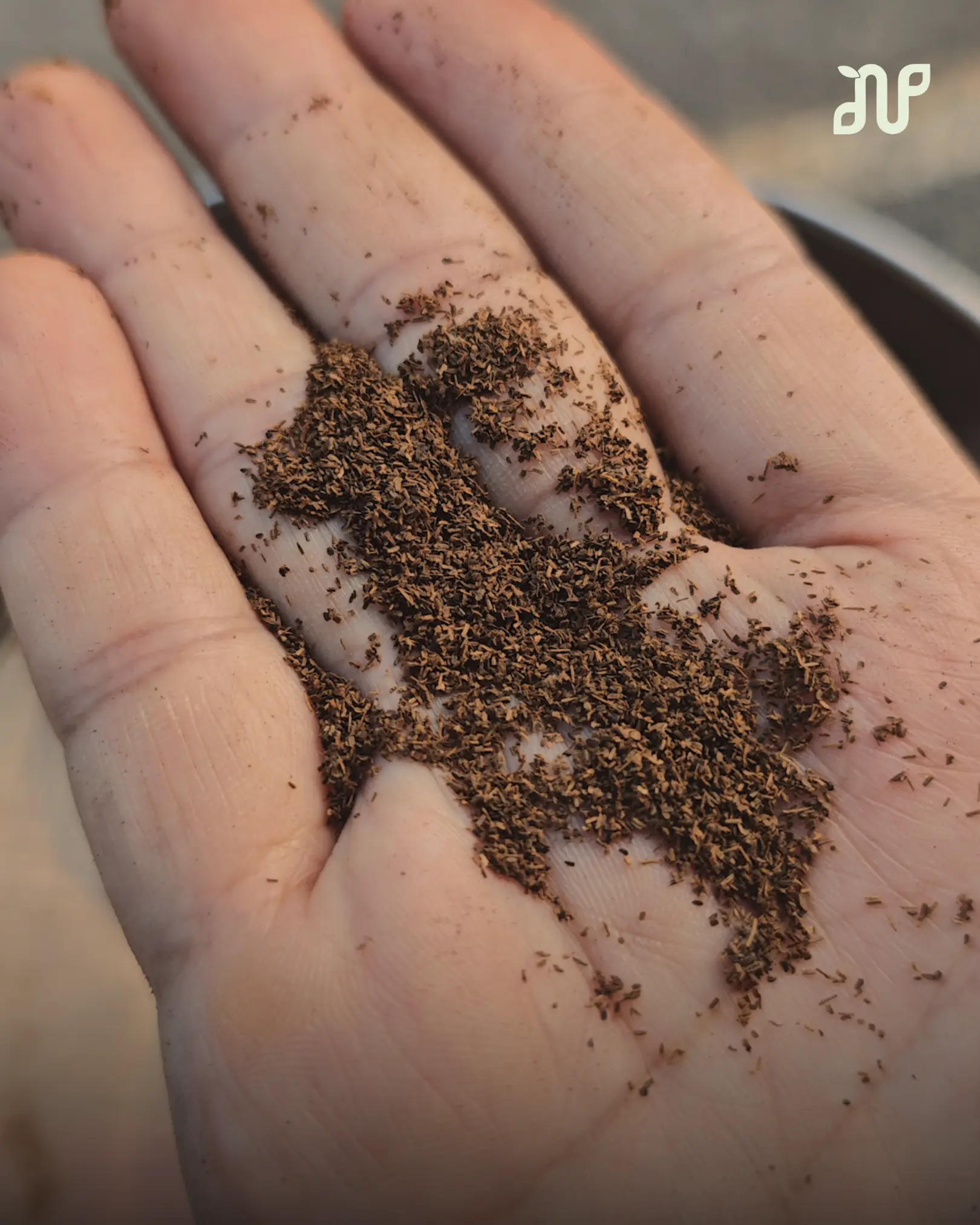 Pure Vanilla Powder: How Nalua Turns One Bean Into Something Extraordinary 1 pure vanilla powder
