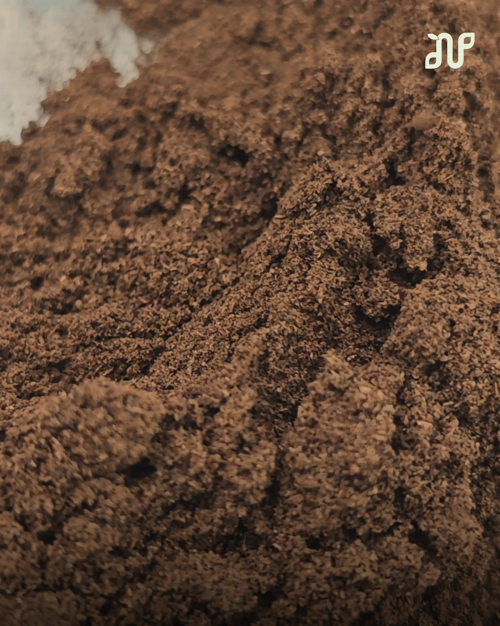 Pure Vanilla Powder: How Nalua Turns One Bean Into Something Extraordinary 3 pure vanilla powder