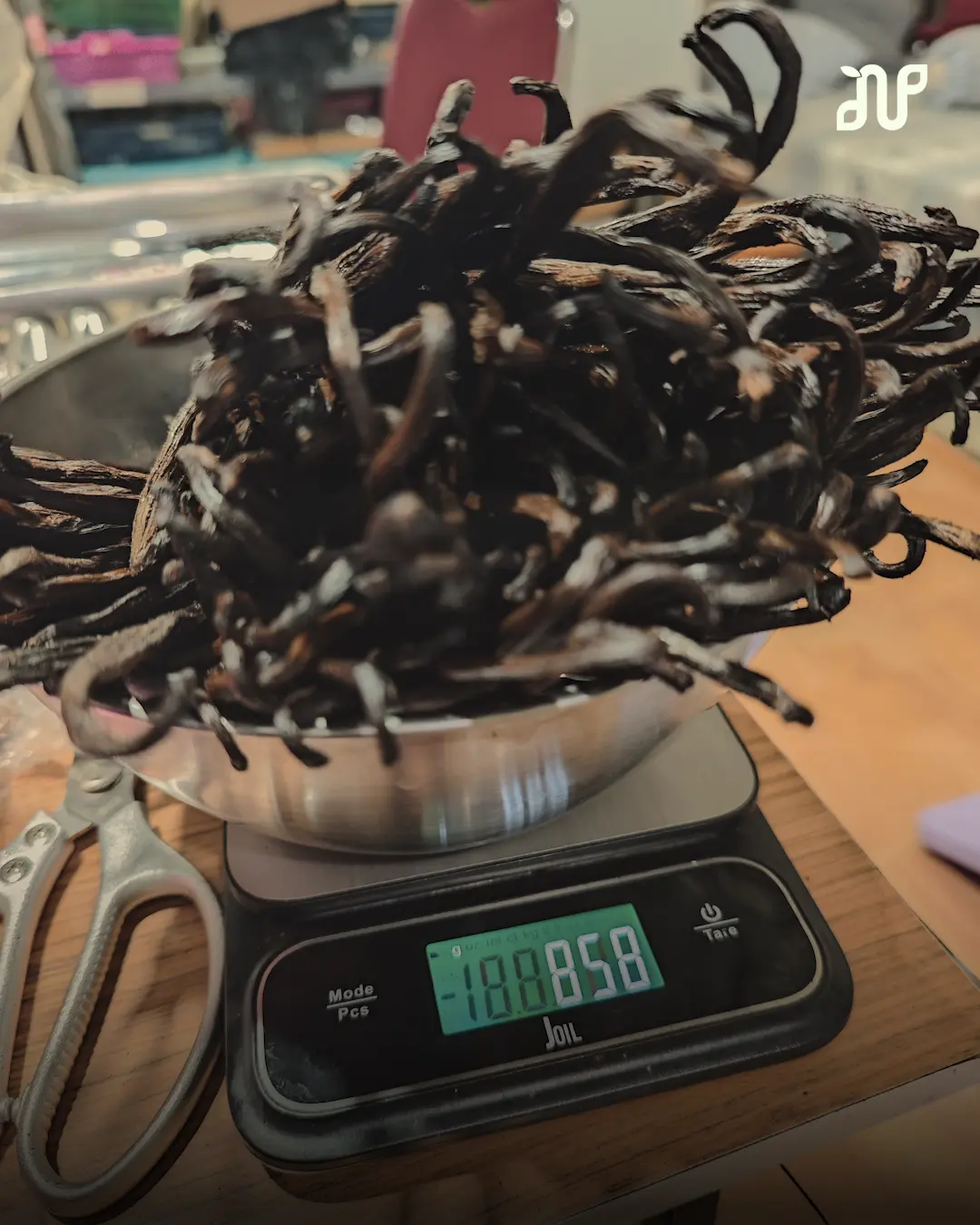 Pure Vanilla Worth It: The Honest Reason Nalua Costs What It Does 2 pure vanilla worth it